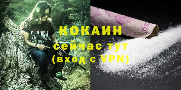 меф Няндома