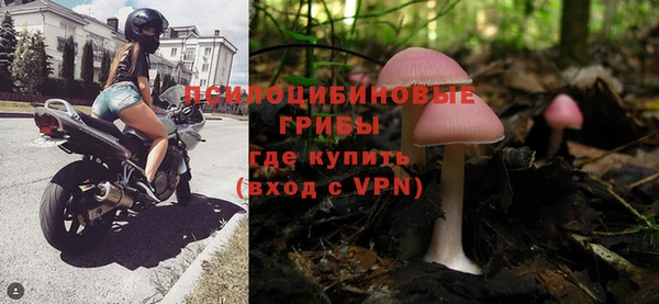 героин Алексин