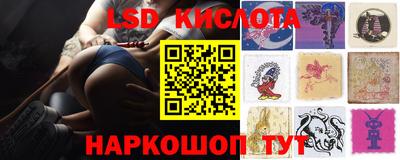 гашик Краснодар