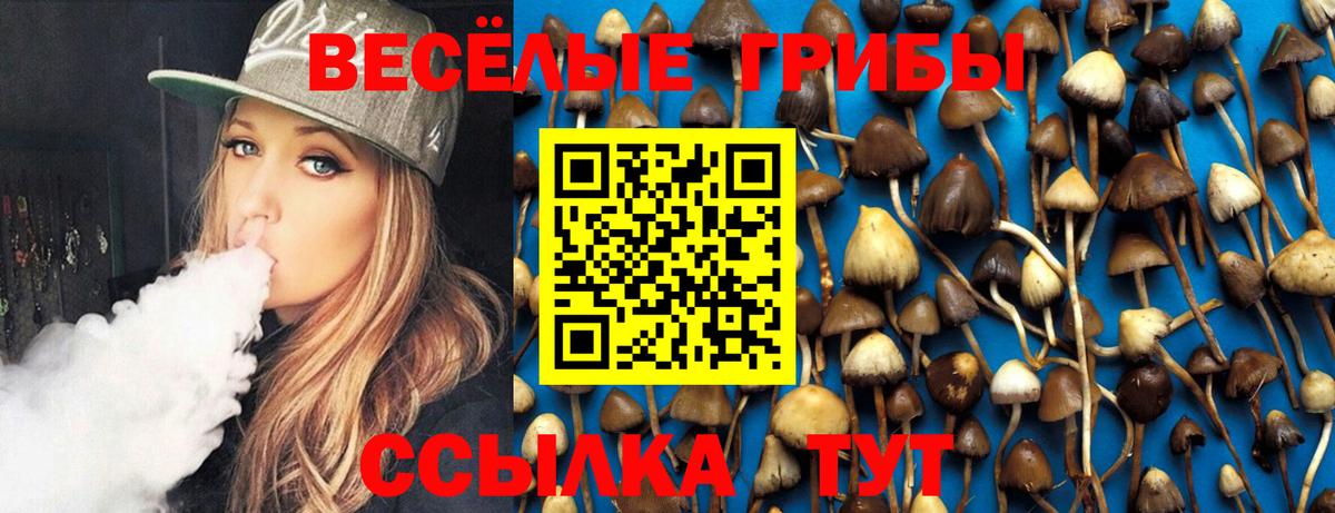 Псилоцибиновые грибы ЛСД  Псилоцибиновые грибы Psilocybine cubensis  Кольчугино  Вход с VPN 